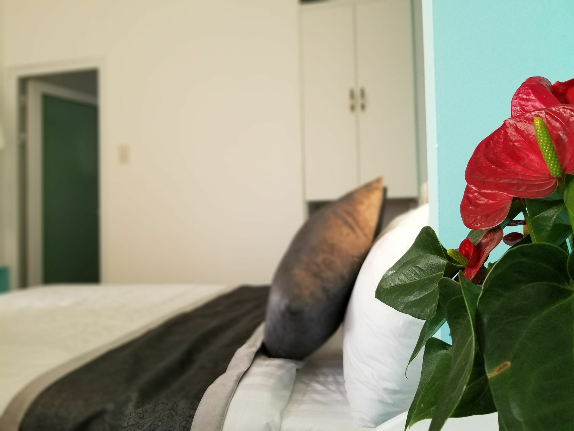 Apartamento Ribe'S House Dalat Exterior foto